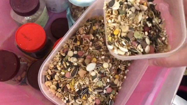 Покупки из зоомагазина/ делаем мешанину для хомяков/ чем кормить ? смотреть онлайн