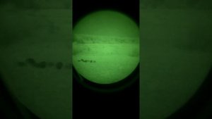 2014.11.04 ПНВ Dedal 490 DK3 (4х кратный), кабаны на овсяном поле (часть8)