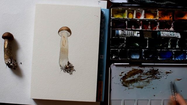 Рисуем грибы акварелью. Подберезовик.