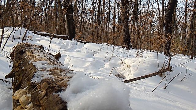 AT THAT SAME INSTANT, THE WHOLE WORLD ATTAINED A piercing BRIGHTNESS смотреть онлайн