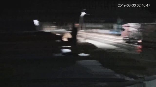 Работа камеры Dahua DH-SD50225U part 2 смотреть онлайн