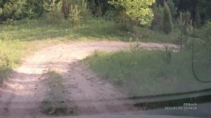 спуск к Волге напротив Кокшайска