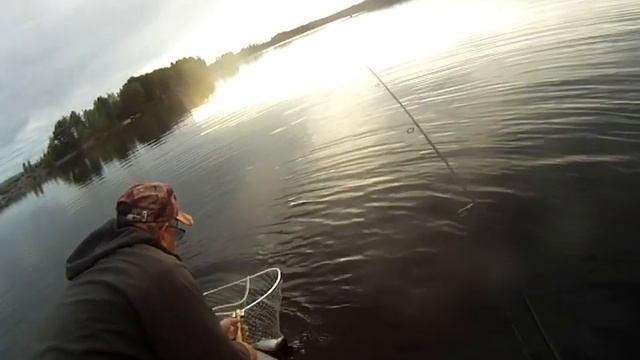 Ловля сига летом на озере Сторуман смотреть онлайн