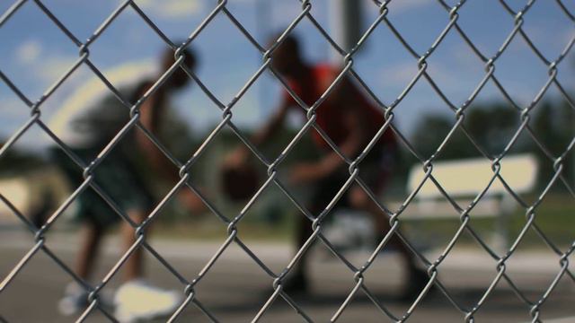 Люблю спорт смотреть онлайн