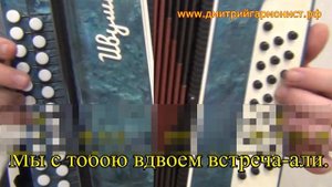 Одинокая ветка сирени // разбор на гармони