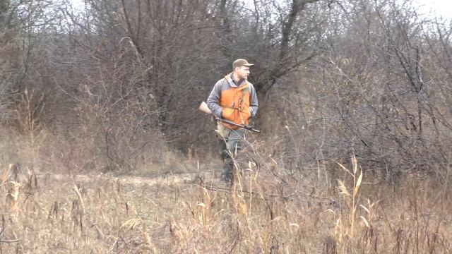 Обзор оружейного ремня Долг М3. Охота на фазана, зайца смотреть онлайн