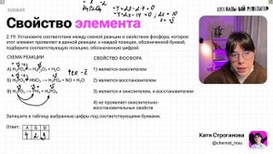 Решаем все типы 19 задания ЕГЭ по химии 2024 | Екатерина Строганова