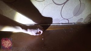 Убрать Скрип Пола - Реальный Способ [ Единственный ]