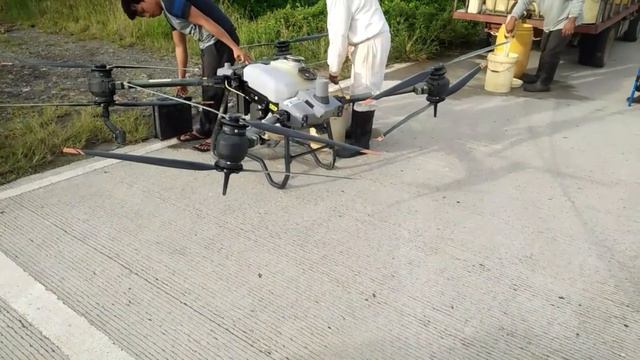 DJI AGRAS T40 AGRICULTURAL DRONE. SPRAYING BANANA CAVENDISH.