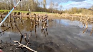 ПОПАЛИ В КАРАСИНЫЙ РАЙ В ДИКОМ КОРЯЖНИКЕ. ПОКЛЁВКИ КРУПНЫМ ПЛАНОМ. РЫБАЛКА ВЕСНОЙ 2023.