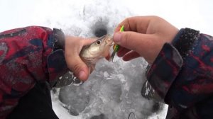 Практик 6м на рыбалке