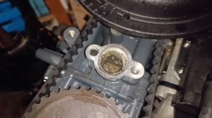Знакомство с новым напарником. Suzuki DF9.9AS. Техническая часть.