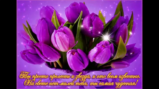 С Днём Международной Солидарности Женщин смотреть онлайн