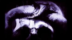 †Мертвец69†-15 человек на сундук Мертвеца