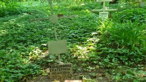 Кладбища тоже умирают.... Дьяковское кладбище....