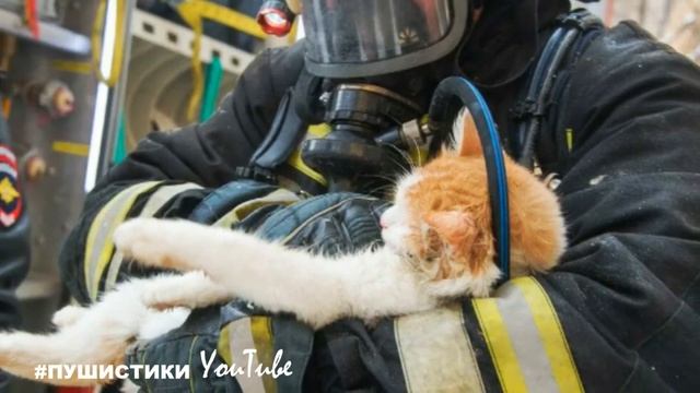 Дом горел, малыш укрылся в печи, ему было ужасно страшно, всё плавилось, повсюду просачивался дым.. смотреть онлайн