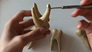 МОЛЯРЫ | ТЕОРИЯ | МОДЕЛИРОВАНИЕ ЗУБОВ | ЧАСТЬ 8