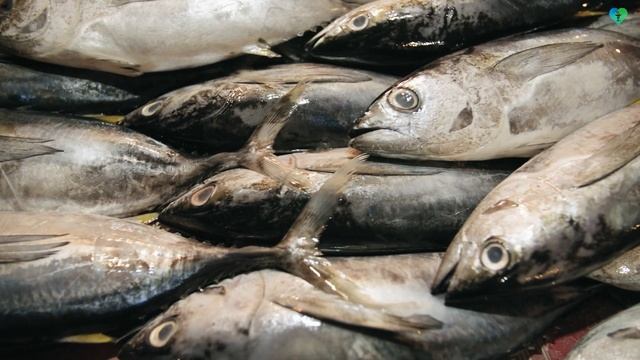 Осторожно токсин: Ртуть в Рыбе! Самая Вредная Рыба для человека и здоровья смотреть онлайн