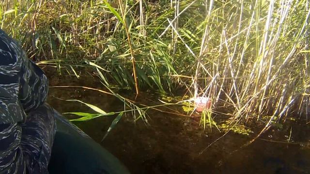 Рыбалка на р. Топар. Змееголов. (Часть 2). смотреть онлайн