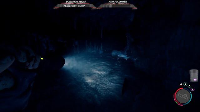 Sons Of the Forest 🌲/ Full Game Walkthrough / No Commentary
