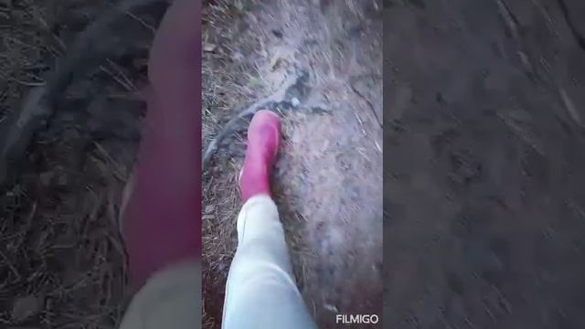 Русский лес смотреть онлайн