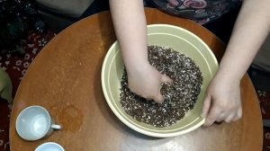 Составила грунт для Адениума.