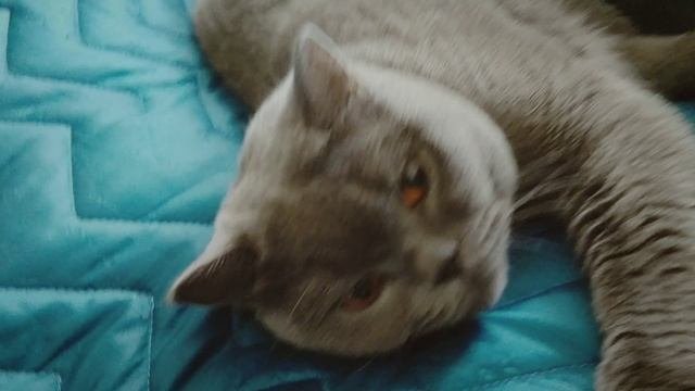 Отдыхаю