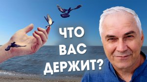 Как отпустить прошлое и открыться жизни? Александр Ковальчук 💬 Психолог Отвечает