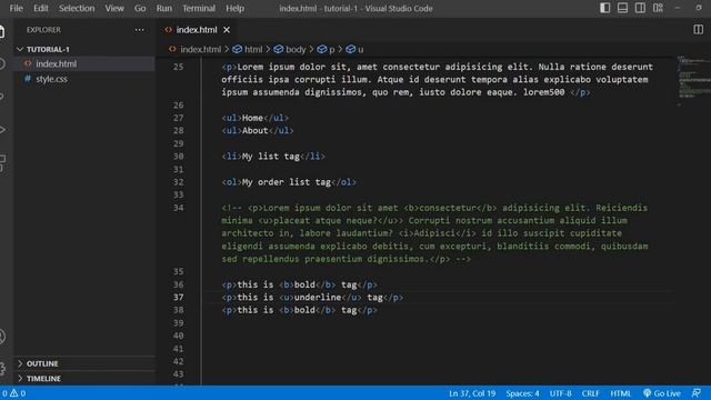 Web Development Tutorial for beginers HTML CSS JS & More | Web Development Tutorials #2 #htmlcss