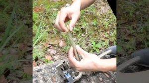 ✂ Секатор для прививок