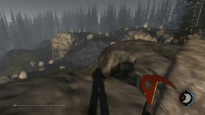 Как установить мод для The Forest