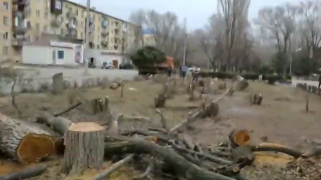 Вырубка деревьев в парке им. Кирова Махачкала.mp4