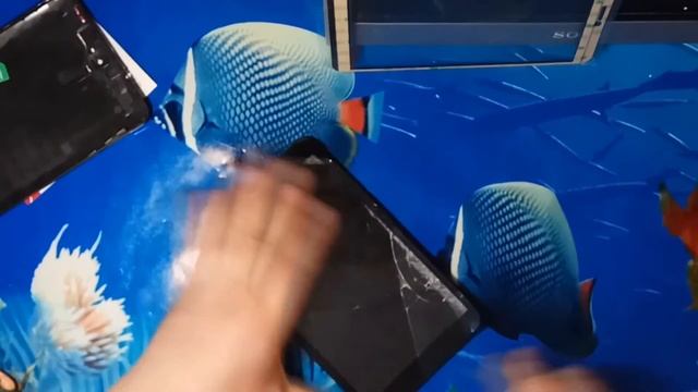 Irbis полная разборка смотреть онлайн