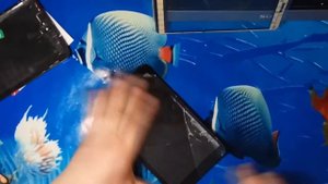 Irbis  полная разборка