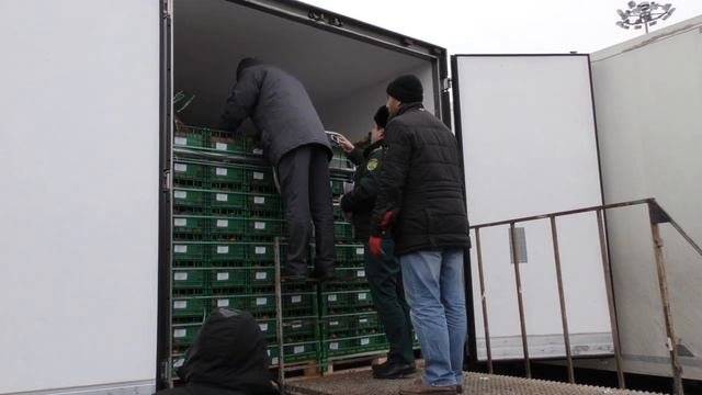 Брянская таможня контролирует ввоз в Россию продукцию высокого фитосанитарного риска