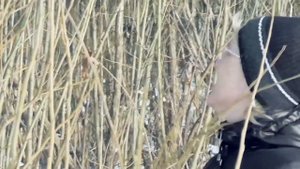 Заготовка прута - день 1. HD (для приготовления лозы)