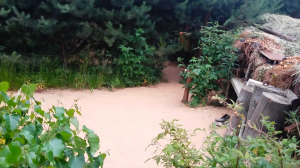 28.06.2023 18:50 [Проверяю песочную тропу]