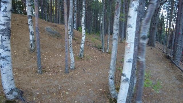 Воттоваара влог | День 1 | Дорога СПБ - Гирвас - Гимолы Турбаза