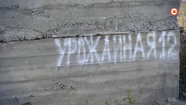 Имеем право. Выпуск 209 смотреть онлайн