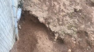 Окролы кроликов в норе, в вольере. Содержание и размножение кроликов. Мои кролики. Дачная Жизнь ТВ.