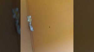 Туалет в поезде Будапешт-Загреб