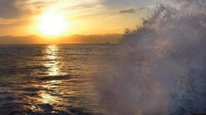 М. Цветаева   "Кто создан из камня,кто создан из глины"