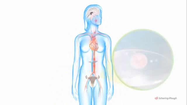 Womenscup.ru о менструальном цикле подробно смотреть онлайн