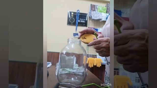 Набор для консервирования