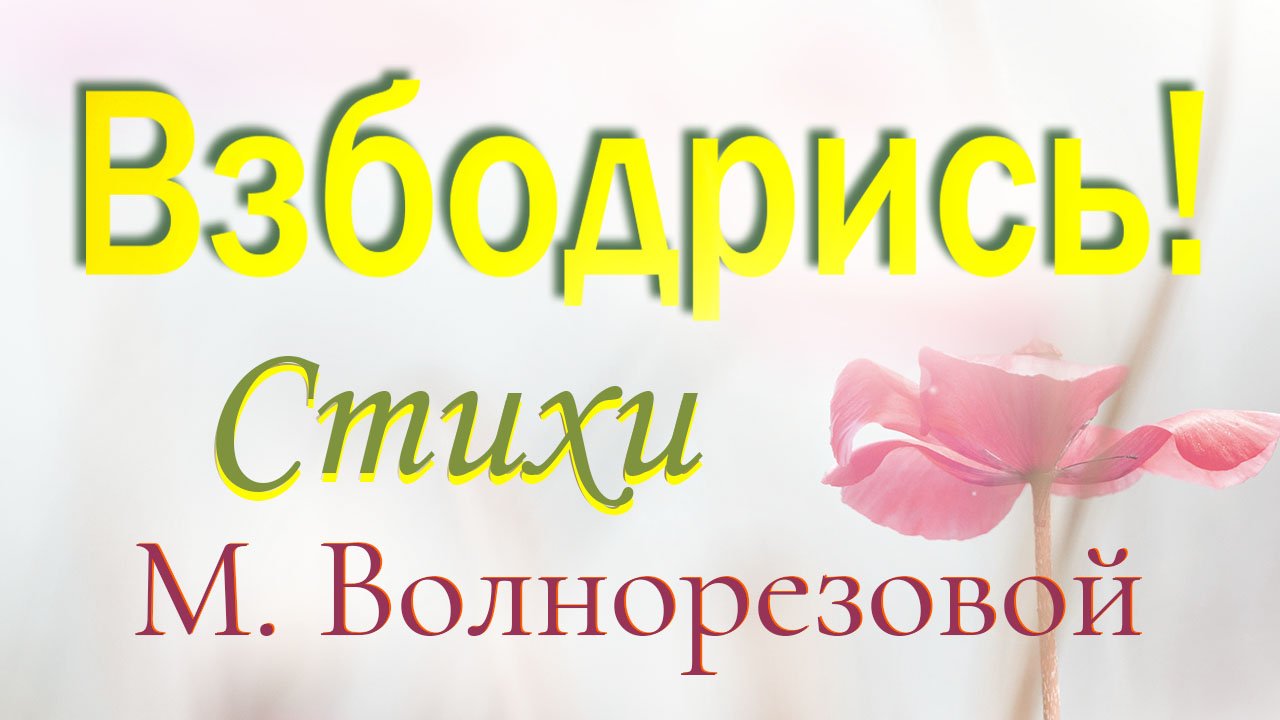 Взбодрись, мое второе «Я» ! смотреть онлайн