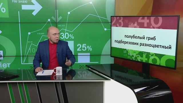 Уголовный срок за сбор грибов. Кого и как накажут? В фокусе событий