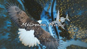 Galust - Птицей Стать