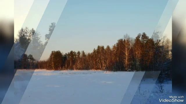 Зимний Лес Коми АССР смотреть онлайн