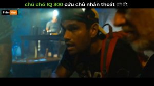 chú chó IQ 300 cứu chủ nhân thoát ch.ét - Review phim Arthur The King