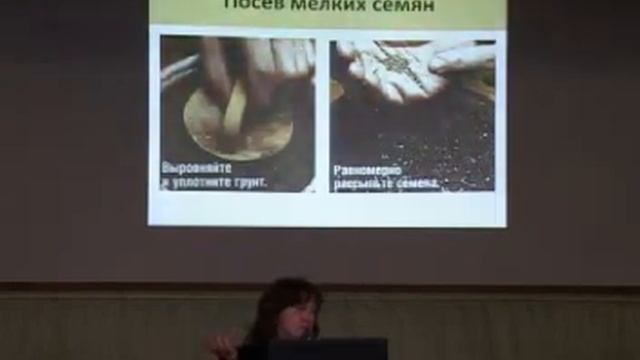 Выращивание рассады; Петуния, Лобелии, Пеларгонии смотреть онлайн